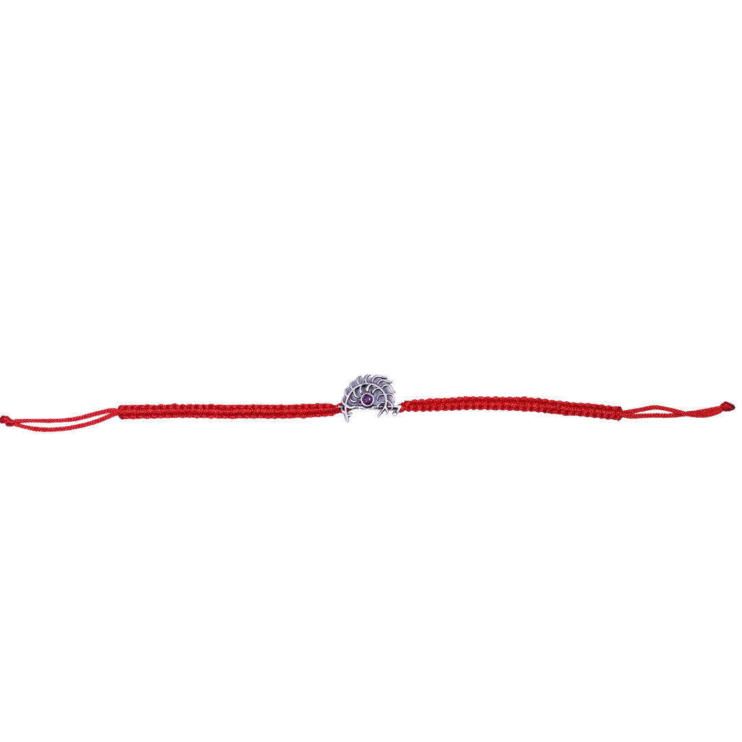 Rakhi